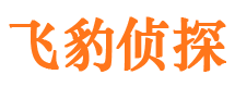 上甘岭市侦探调查公司